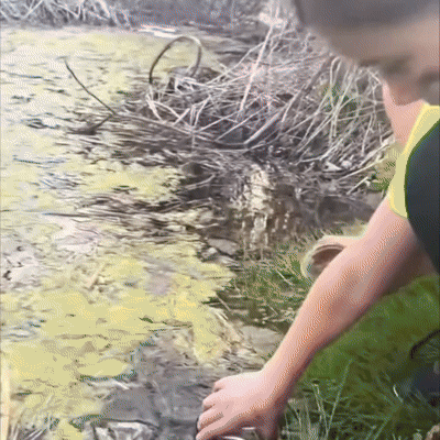 Clarixa HYDRA-X1 SURVIVAL Straw™ - Emergency Water Filter